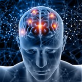 Cerveau Cerveau